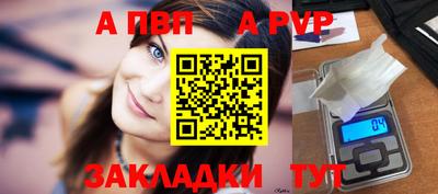 стаф Тара
