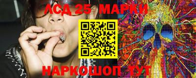 стаф Тара