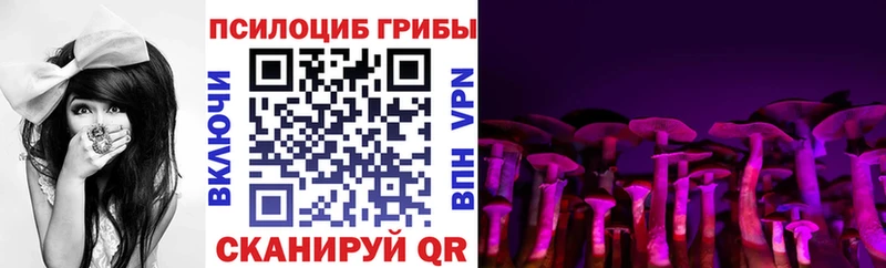 Галлюциногенные грибы Psilocybe  Саранск 