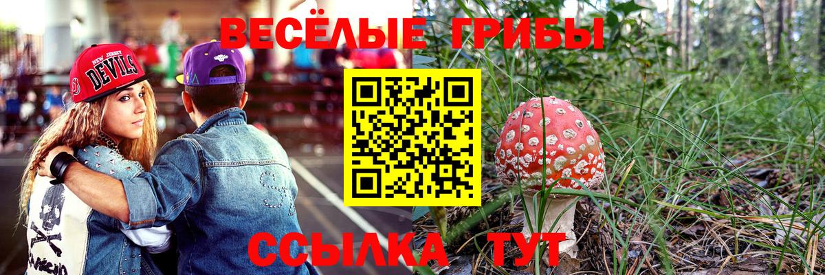 Саранск  Галлюциногенные грибы Magic Shrooms  Вход с VPN 