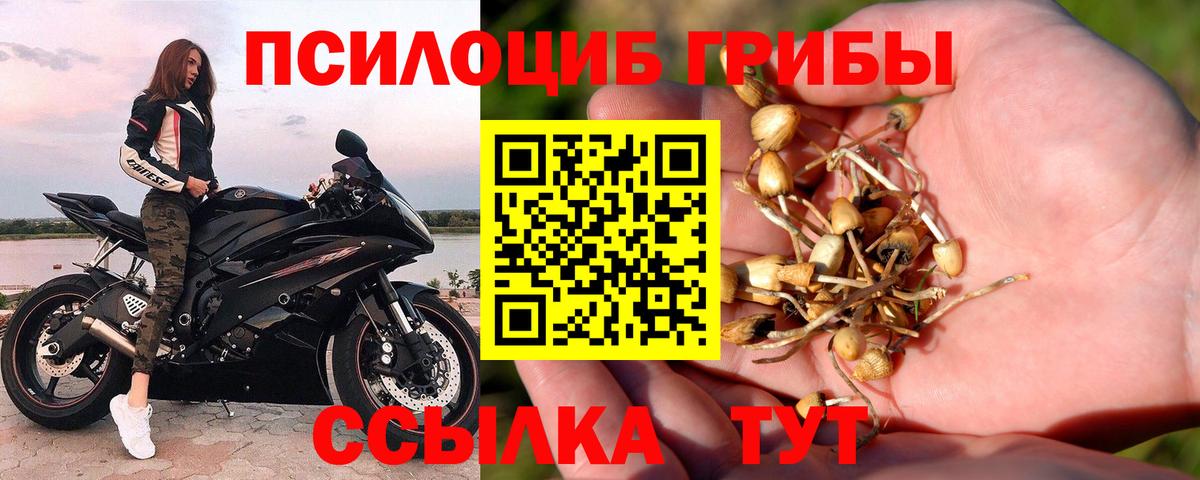 Галлюциногенные грибы прущие грибы Саранск